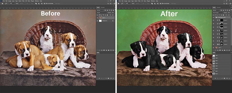 Multi-clipping Path